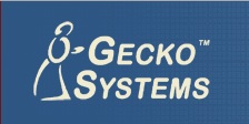Gecko System Logo