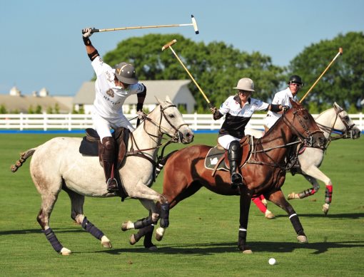 A group of men playing poloDescription automatically generated with medium confidence